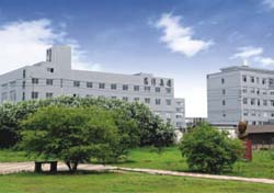 Detailed Introduction of 